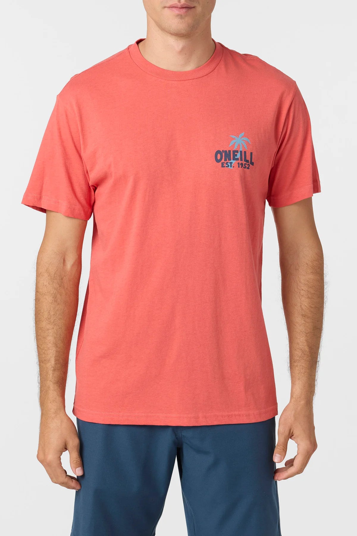 ONEILL AXELRAD SS TEE