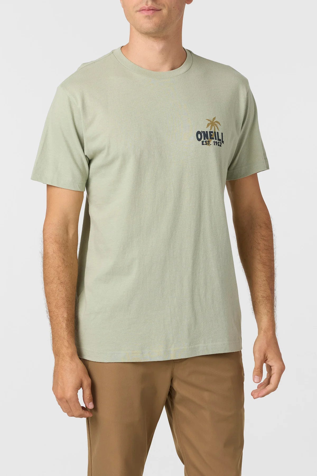 ONEILL AXELRAD SS TEE