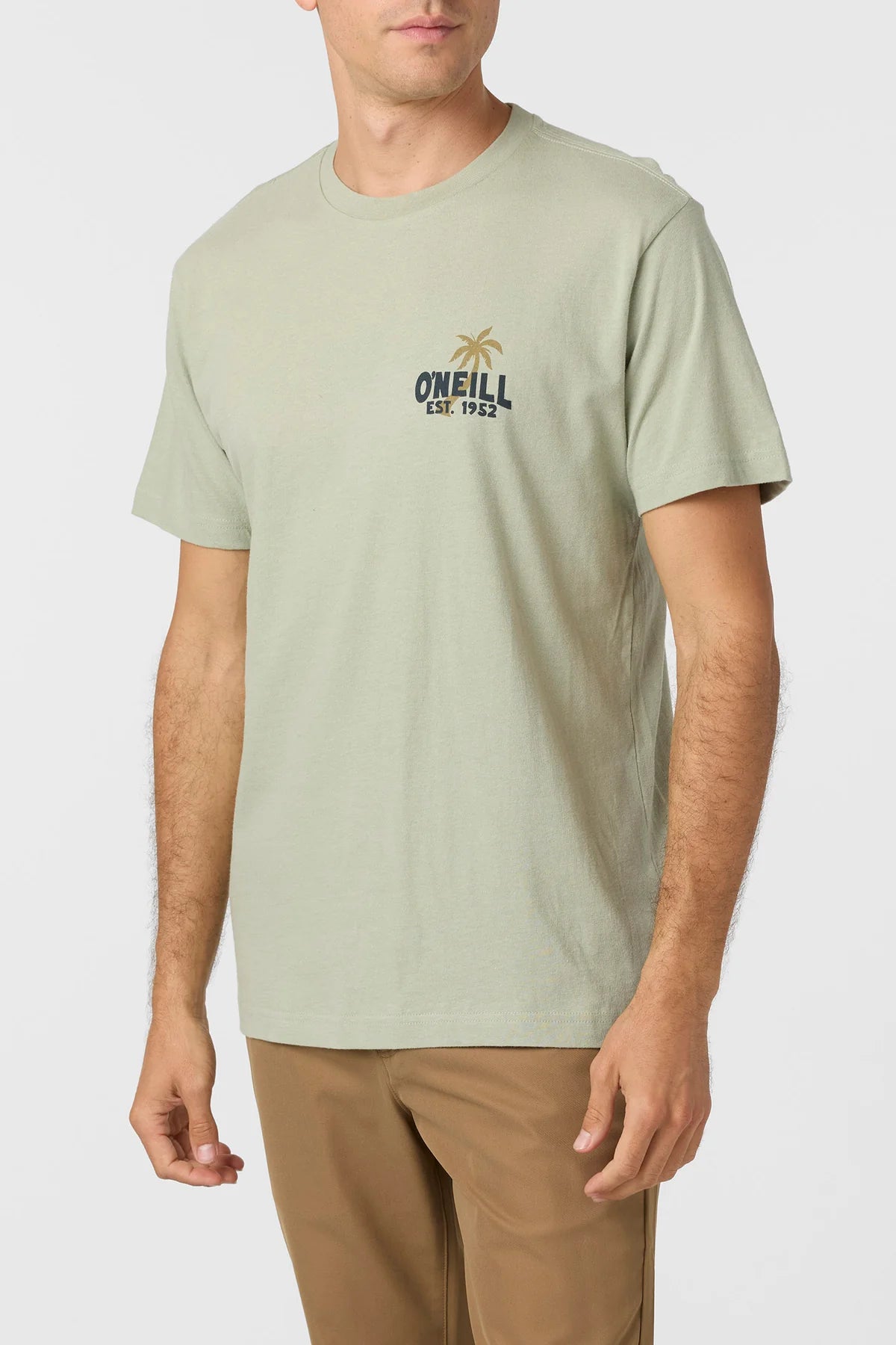 ONEILL AXELRAD SS TEE