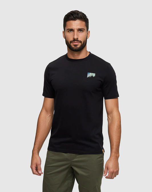 TENTREE NORTHERN AURORA TEE