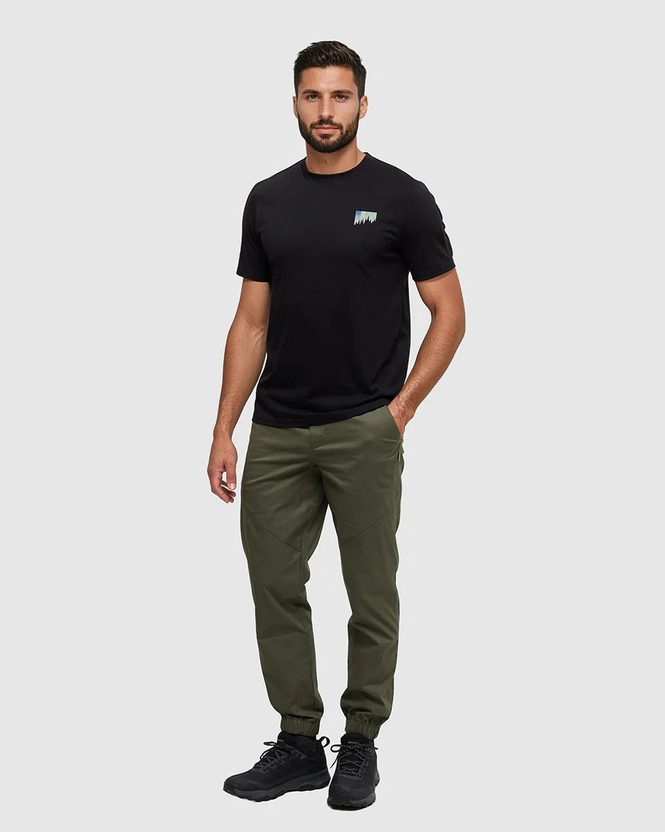 TENTREE NORTHERN AURORA TEE