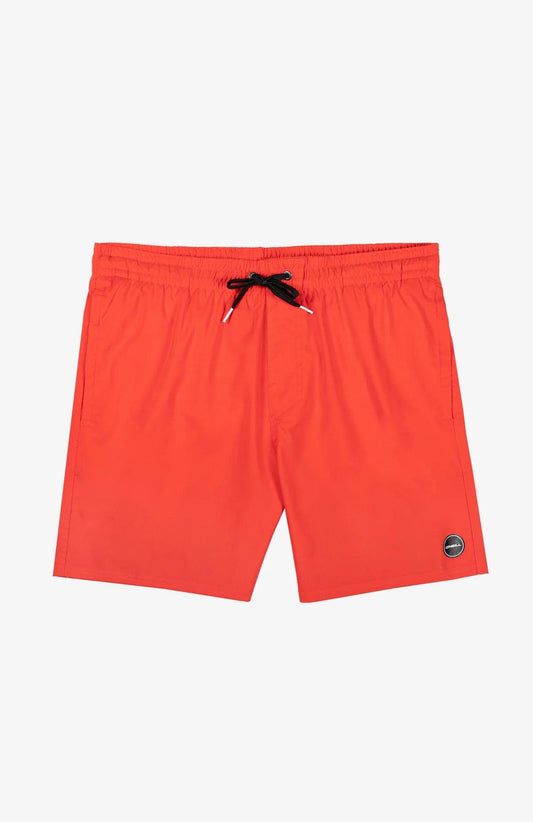 ONEIL SOLID VOLLEY - Cottage Toys - Peterborough - Ontario - Canada