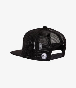 HEADSTER  BROADVIEW TRUCKER