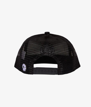 HEADSTER  BROADVIEW TRUCKER