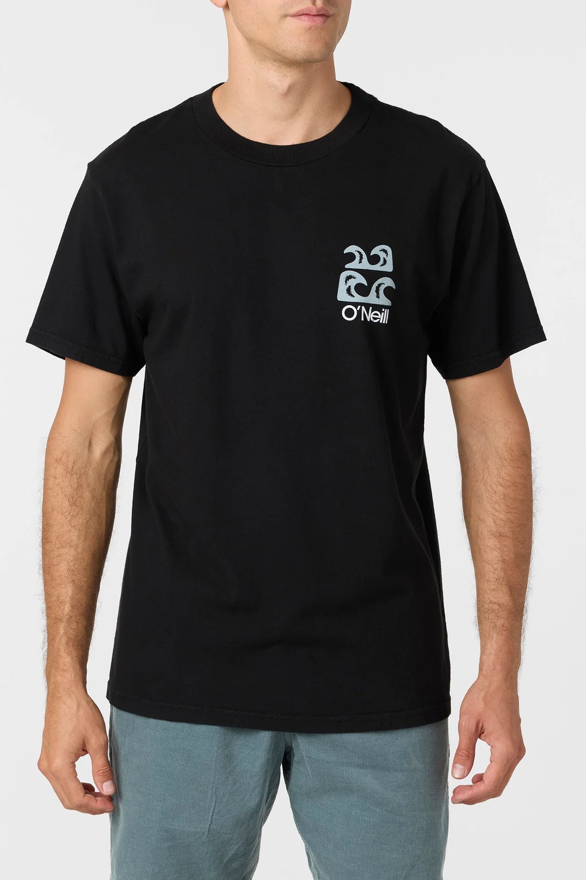 ONEILL OG SCENIC TEE