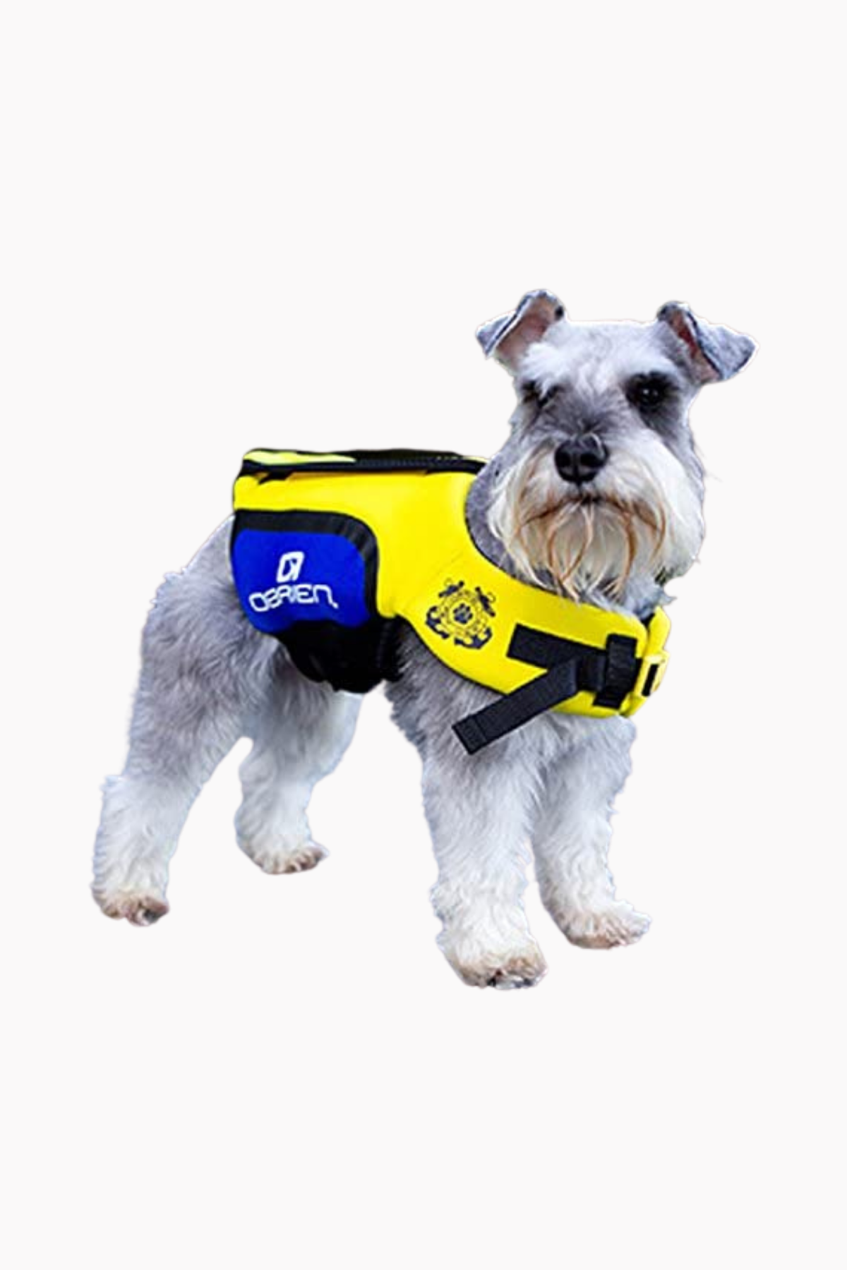 O'Brien Neoprene Pet Life Jacket - Cottage Toys Canada